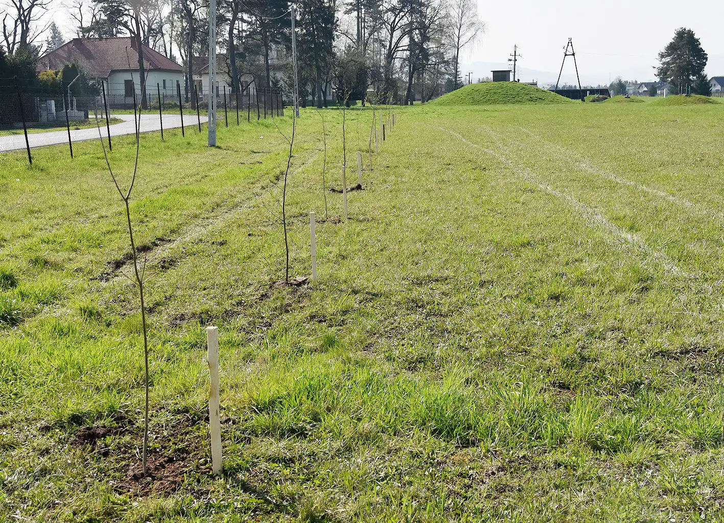 Park się rozrasta. 230 nowych drzewek przy obiektach Sądeckich Wodociągów