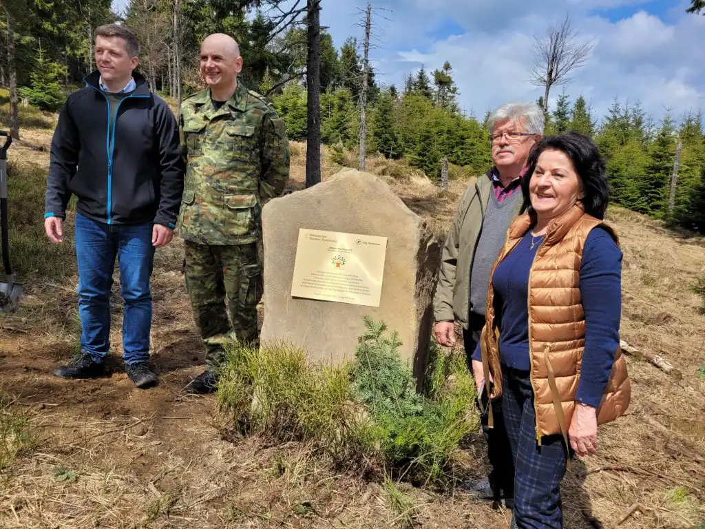 Pod Przehybą posadzono blisko tysiąc młodych jodeł