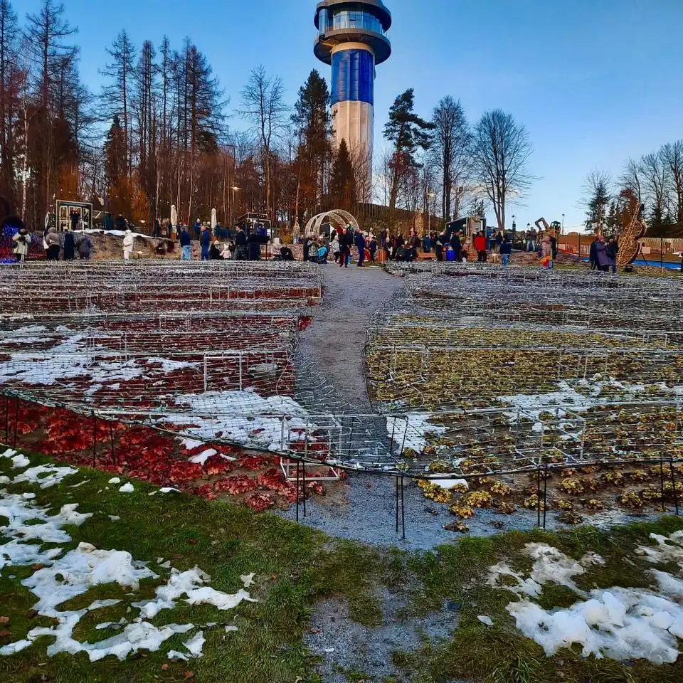 Nowe świetlne rzeźby na Polanie Muzyki i Światła. Krynica odsłania kolejną atrakcję