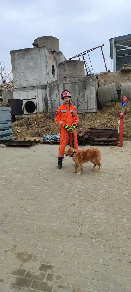 Czworonożni bohaterowie na gruzowiskach. Ćwiczenia ratownicze w Gdańsku