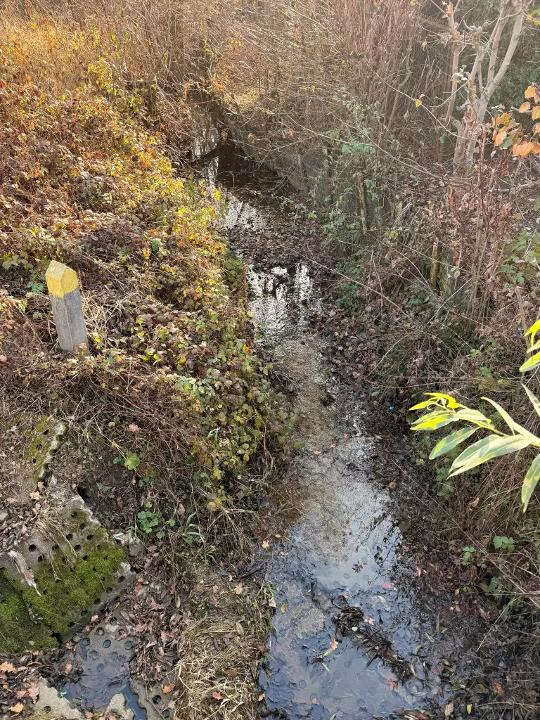 Czy Poręba Mała doczeka się regulacji potoków? Mieszkańcy apelują do Wód Polskich