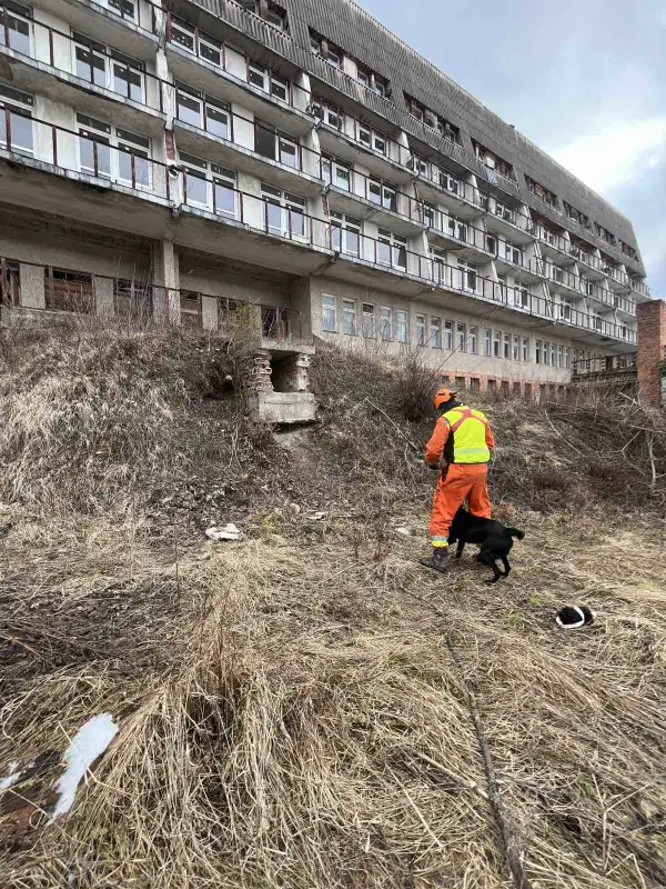 Próba w opuszczonym hotelu. Psy ratownicze OSP Nowy Sącz na szkoleniu