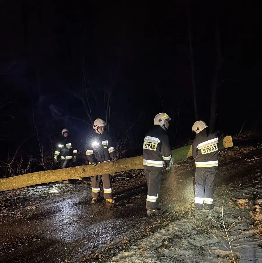 Wietrzna niedziela na Sądecczyźnie  Strażacy usuwali skutki silnego wiatru