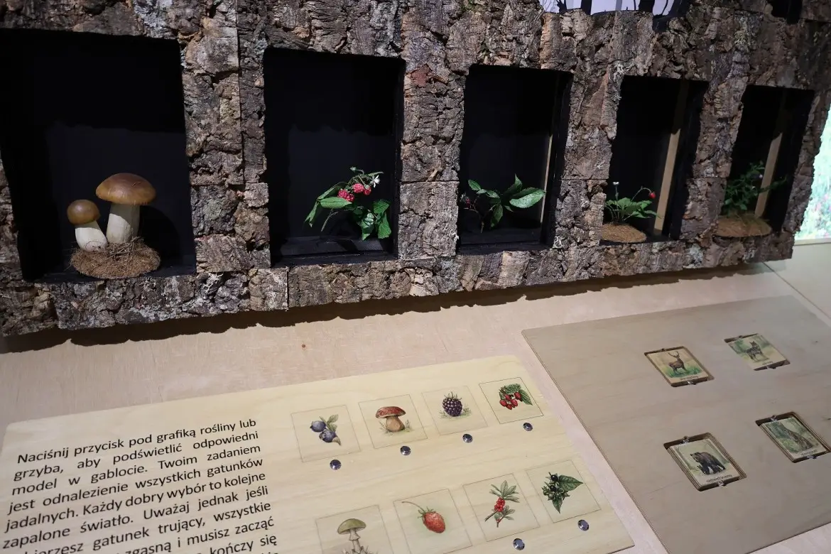 Tu natura spotyka człowieka. Nowa placówka edukacyjna w sercu regionu