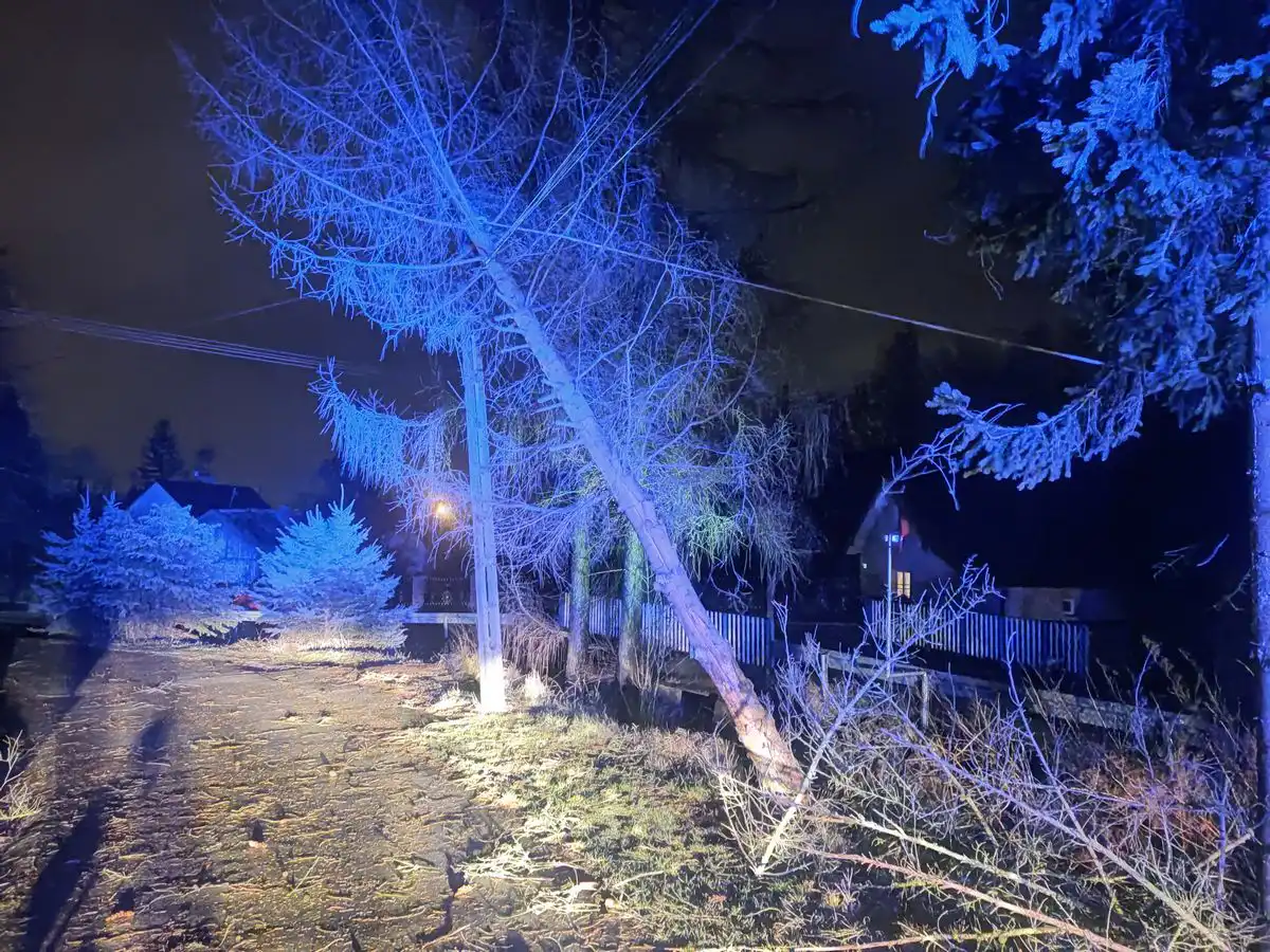 Wietrzna niedziela na Sądecczyźnie  Strażacy usuwali skutki silnego wiatru