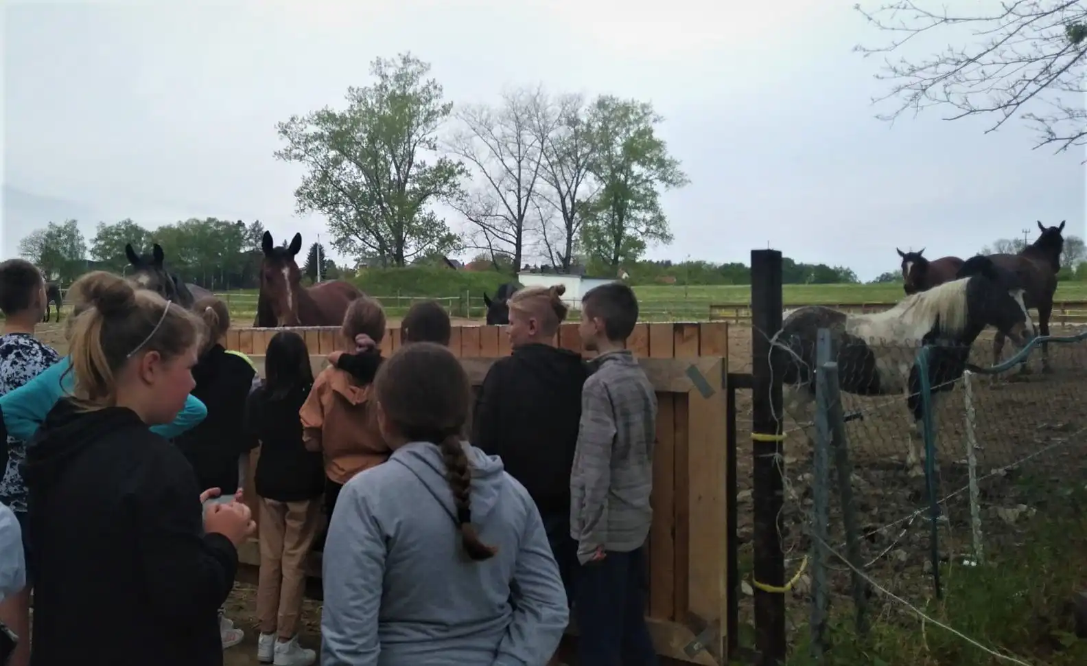 Dzień wśród koni: Uczniowie odwiedzili Powiatowy Zakład Aktywności Zawodowej