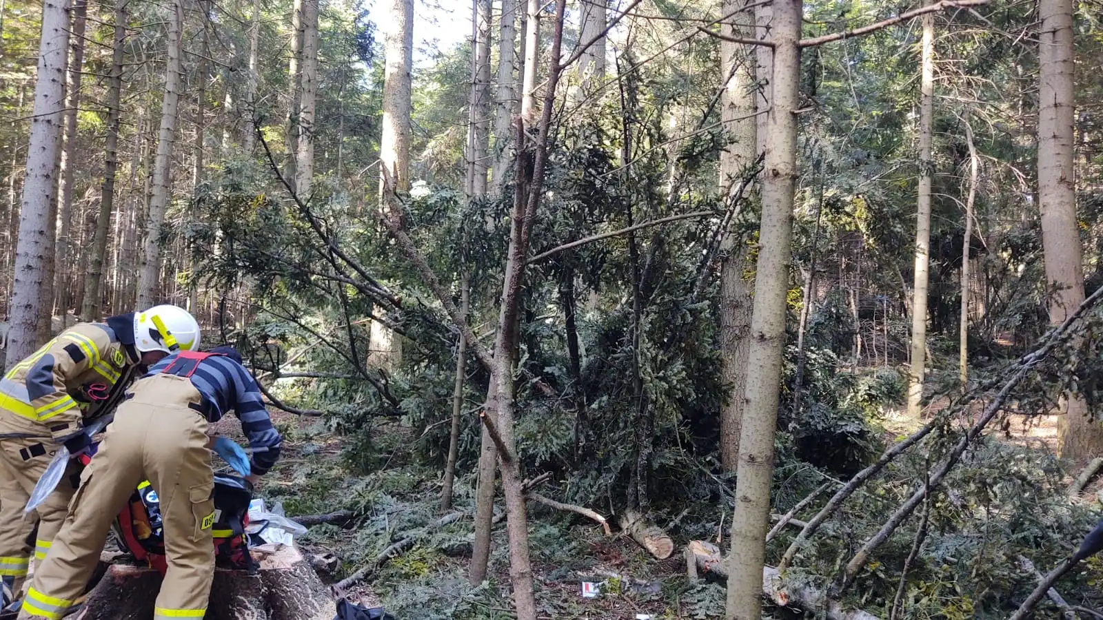 Stara Wieś: śmiertelny wypadek przy wycince drzew