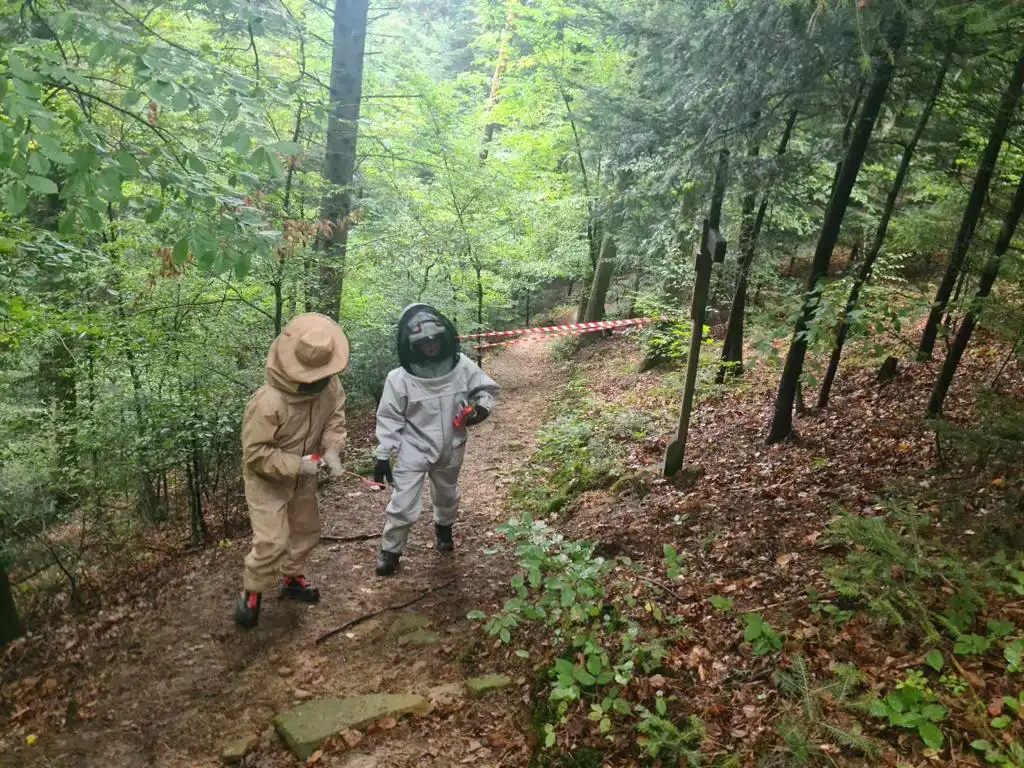 Tropie: szerszenie pogryzły pielgrzymów