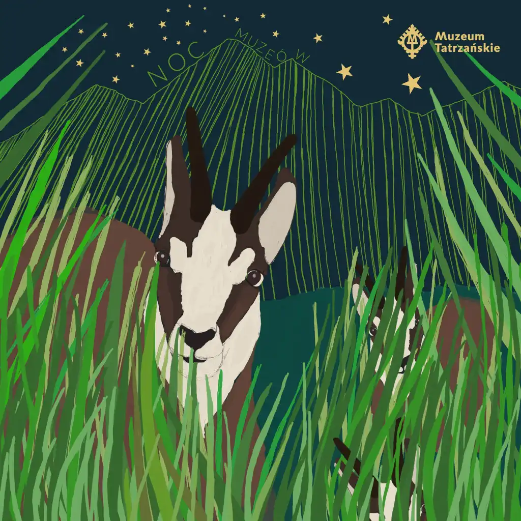 Kulturalna Małopolska na weekend 15 - 19 maja