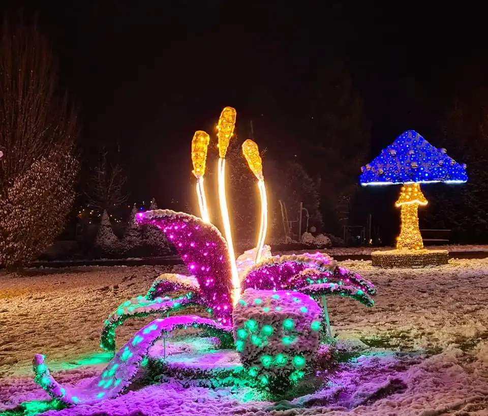 Muszyna pełna świątecznego blasku