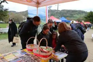 „Beskidzkie Smaki” w Skansenie na Jędrzejkówce. Święto Tradycji i Smaków Beskidu Wyspowego