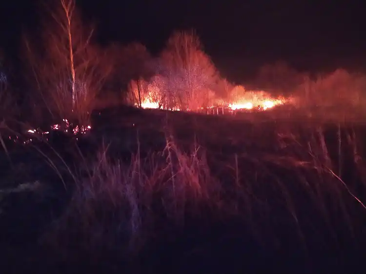 Na Sądecczyźnie płoną suche trawy