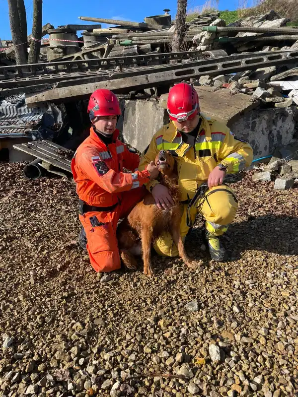SGPR Nowy Sącz zorganizowało szkolenie doskonalące dla przewodników psów ratowniczych