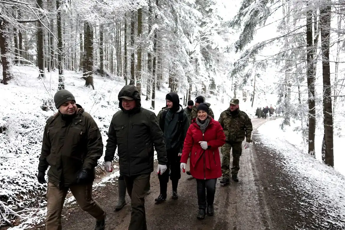 Jarząb brekinia wzbogacił las w Rdziostowie