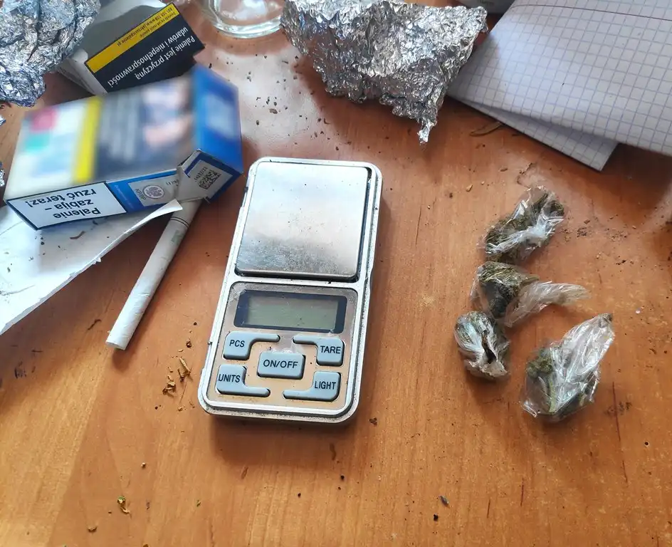 Łomnica-Zdrój. Ukradli koparkę o wartości blisko 200 tys. zł i ukryli ją w lesie. Grozi im do 10 lat więzienia