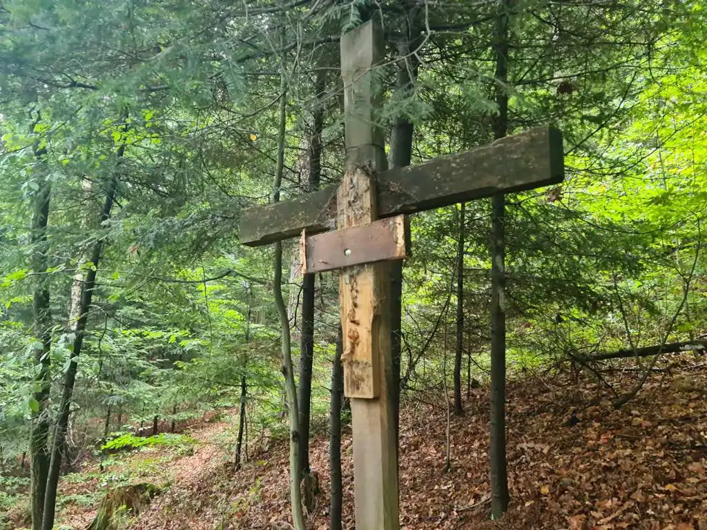 Tropie: szerszenie pogryzły pielgrzymów