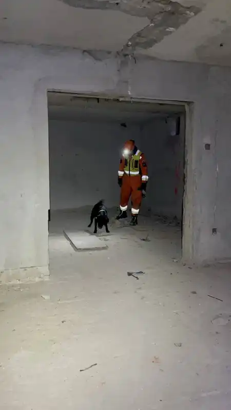 Próba w opuszczonym hotelu. Psy ratownicze OSP Nowy Sącz na szkoleniu