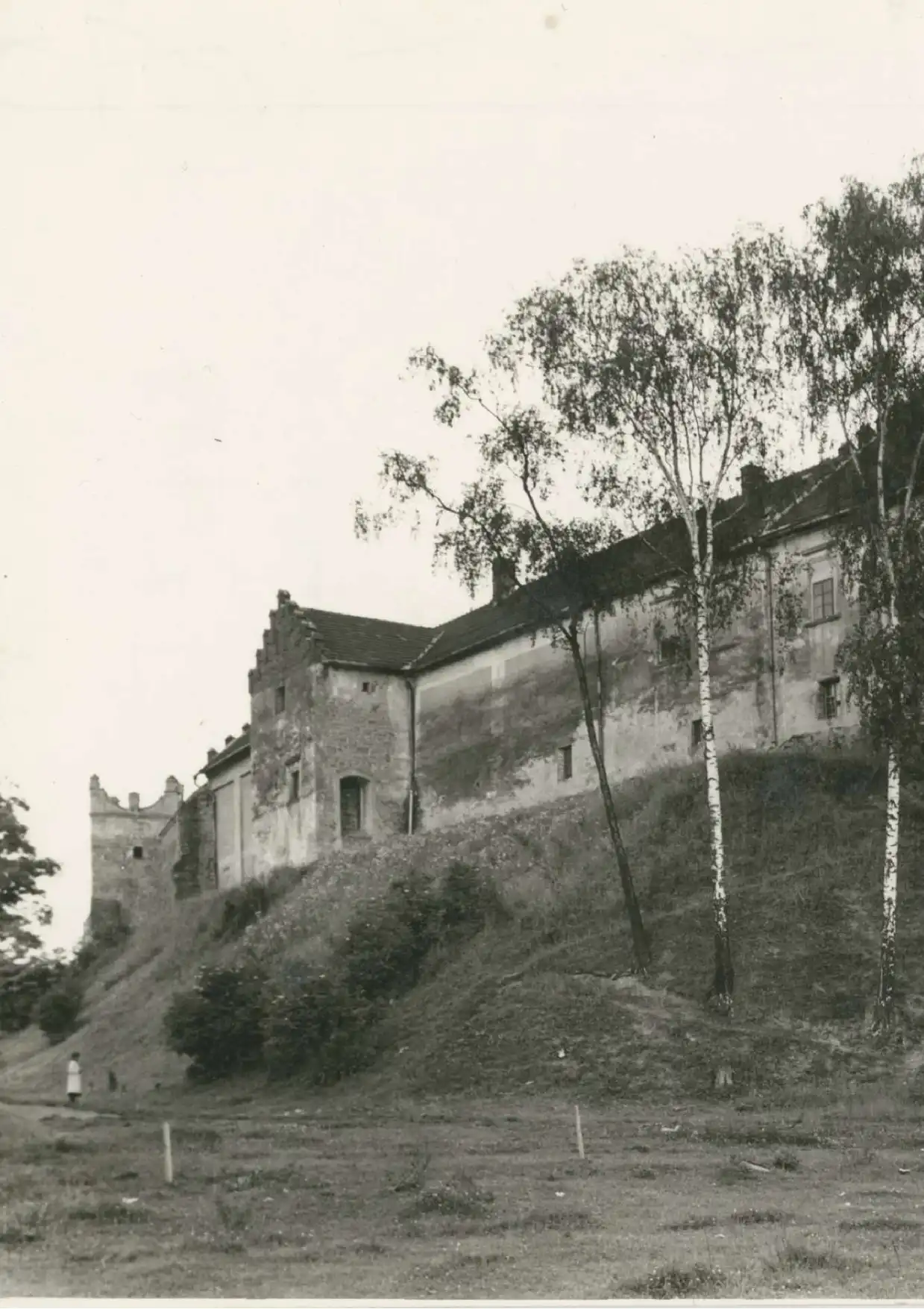 Sądecki ratusz przedstawia ostateczną koncepcje odbudowy Zamku w Nowym Sączu