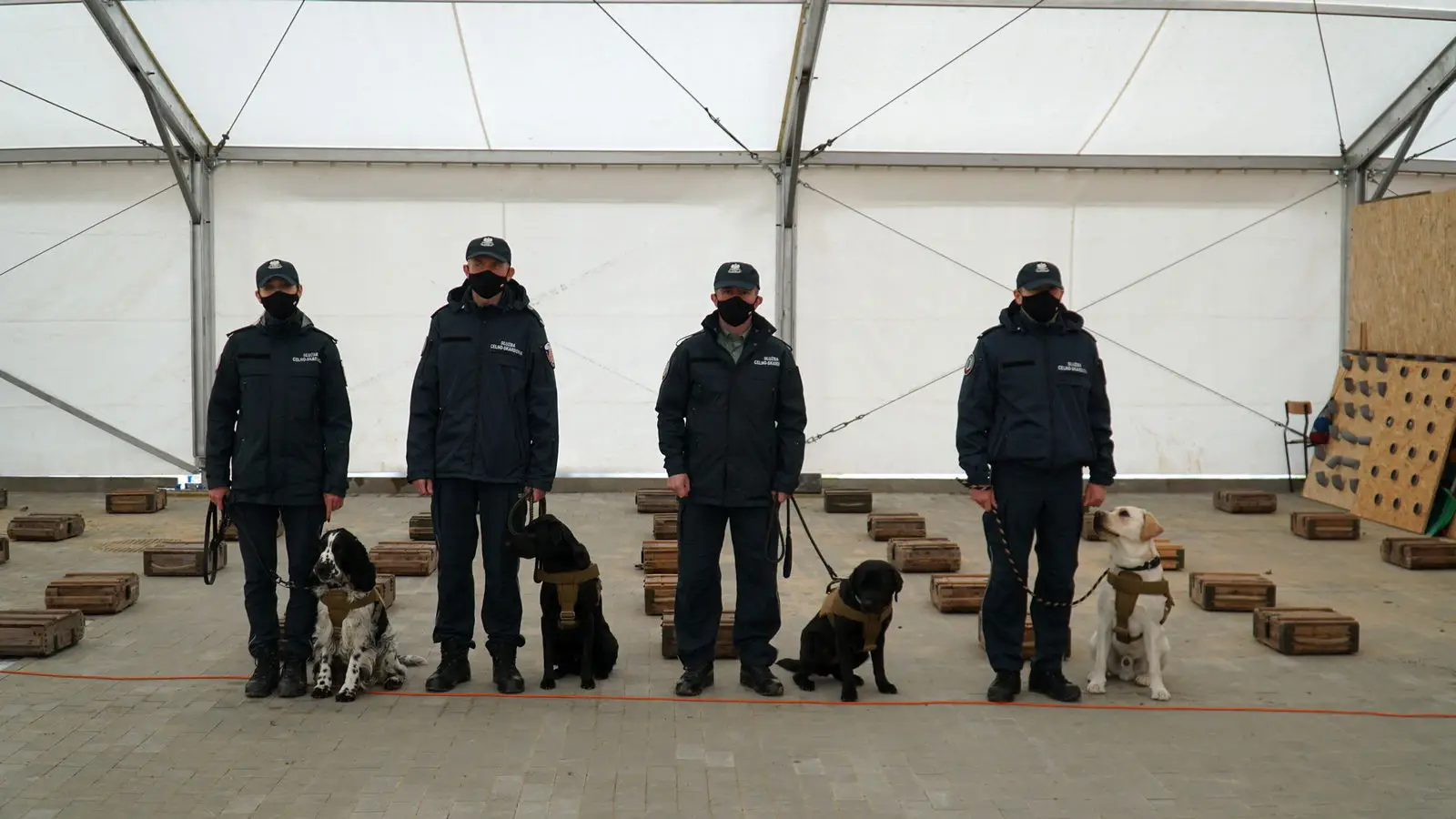 Psy służbowe KAS pomogą w wykrywaniu COVID-19