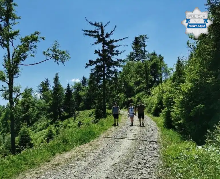 Ruszyły policyjne akcje „Bezpieczne wyjazdy” i „Bezpieczne wakacje 2022”