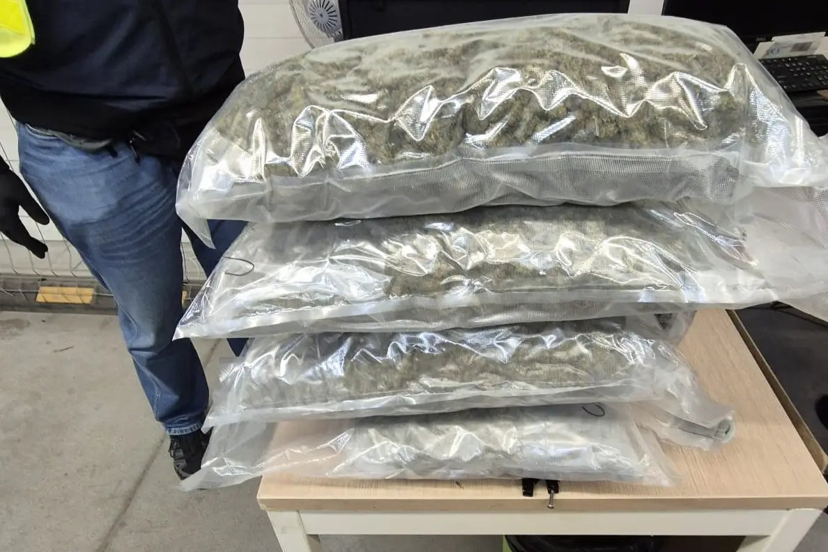 Narkotyki z Hiszpanii trafiały do paczkomatów. KAS i Policja przejęły blisko 11 kilogramów