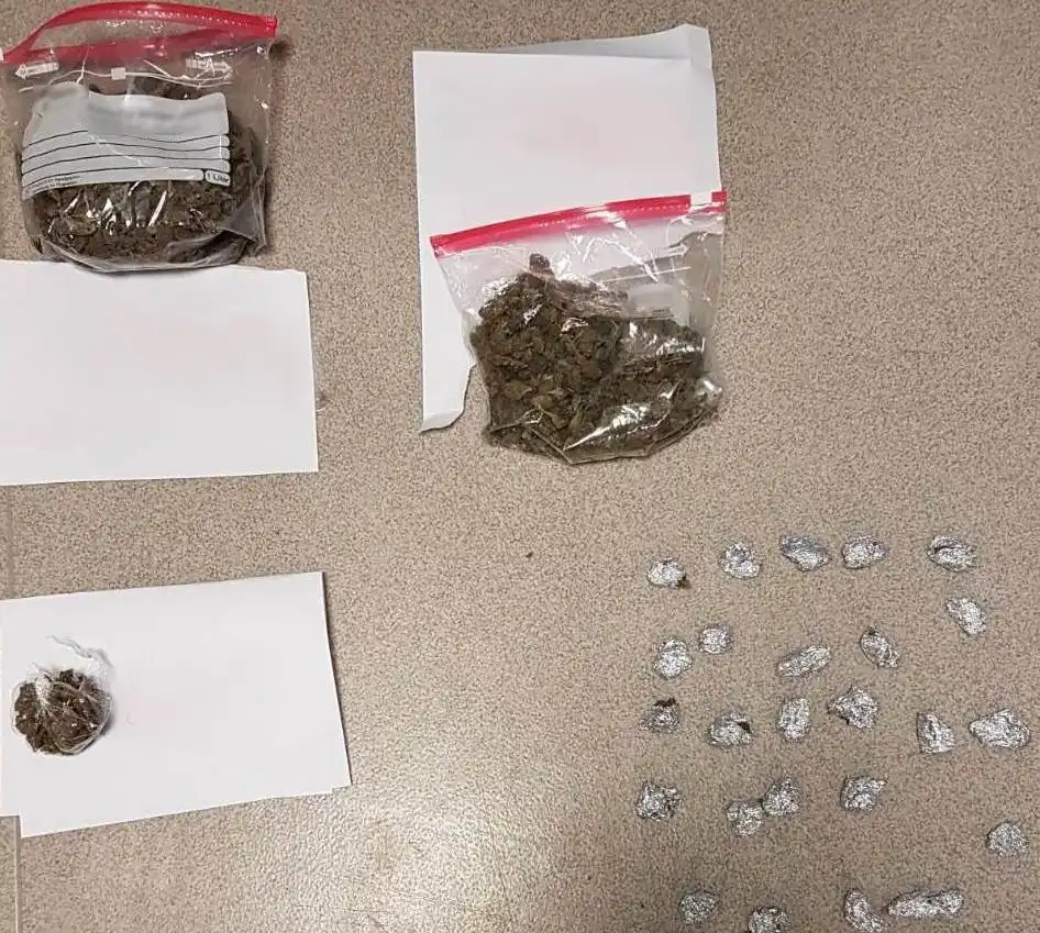 Sądecczyzna: 21-latek miał narkotyki w mieszkaniu. W czasie zatrzymania zaatakował policjantów