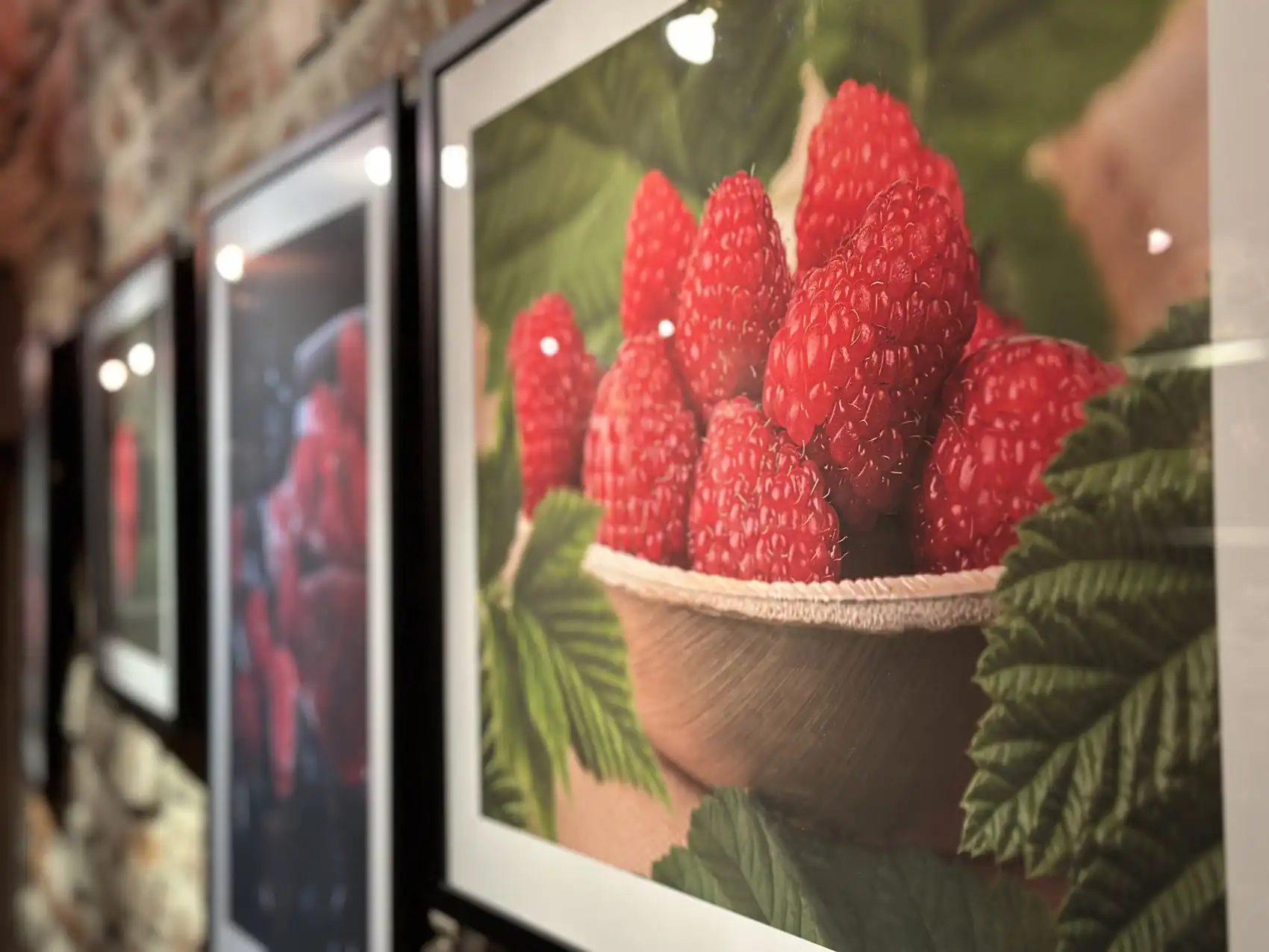 „Różne punkty widzenia”. Fotograficzna podróż przez wyjątkową wystawę w Sądeckiej Bibliotece Publicznej