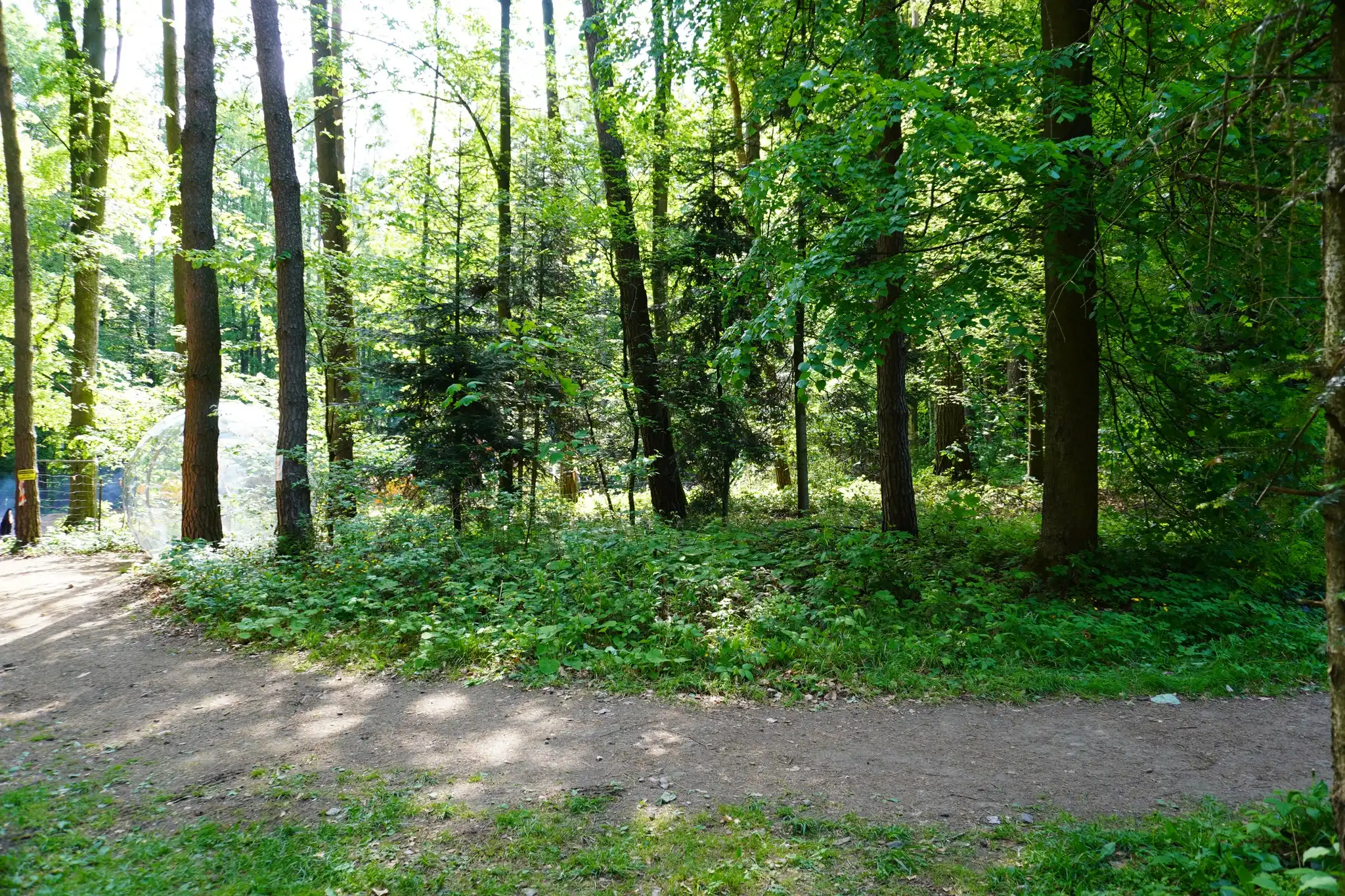 Orbisfera rośnie na Miejskiej Górze. Nowa atrakcja w Starym Sączu