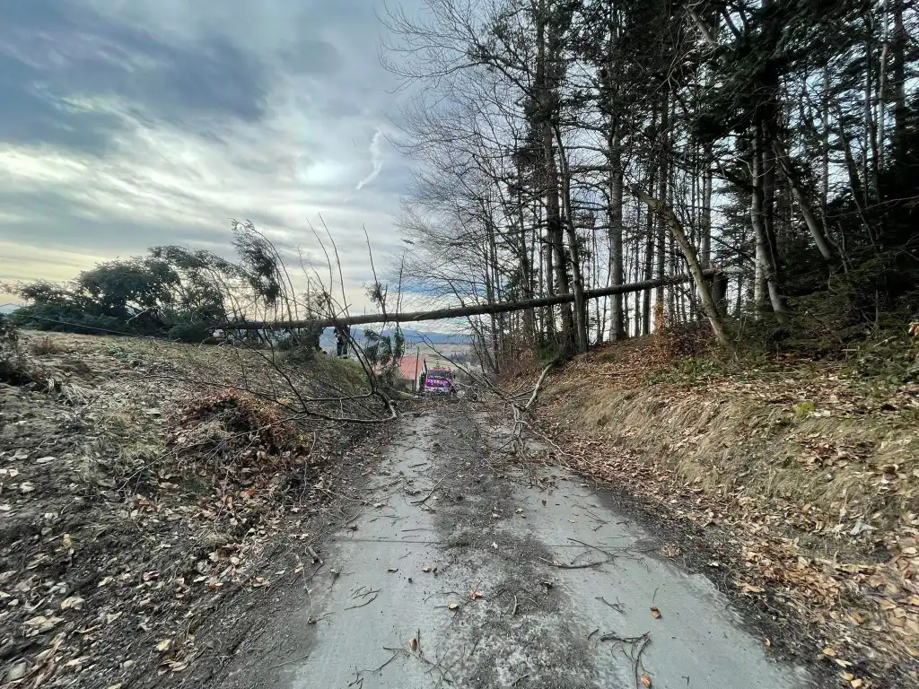 Silnie wiejący wiatr na Sądecczyźnie przysporzył pracy strażakom. W dwa dni interweniowali ponad 40 razy