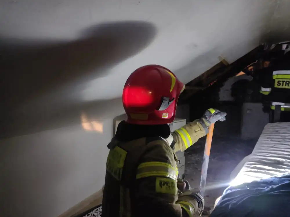 Pożar domku letniskowego w Białej Niżnej