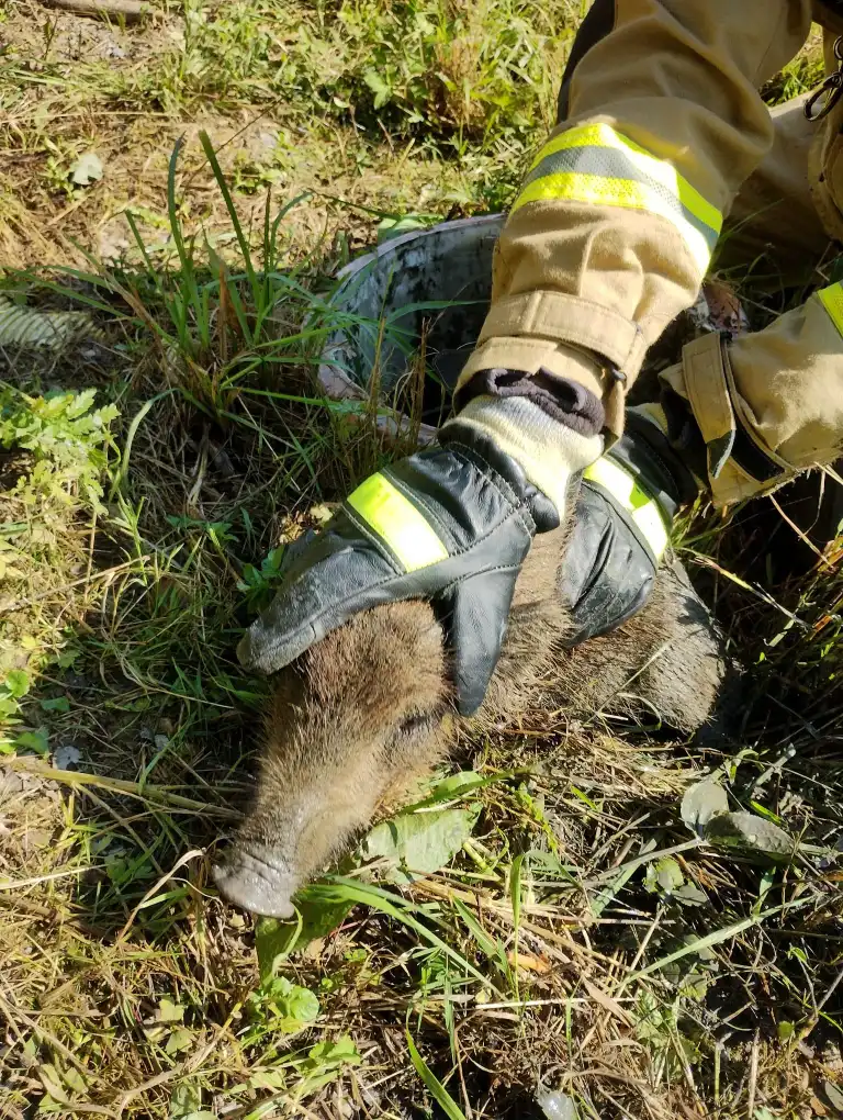 Niezwykła akcja ratunkowa w Krynicy