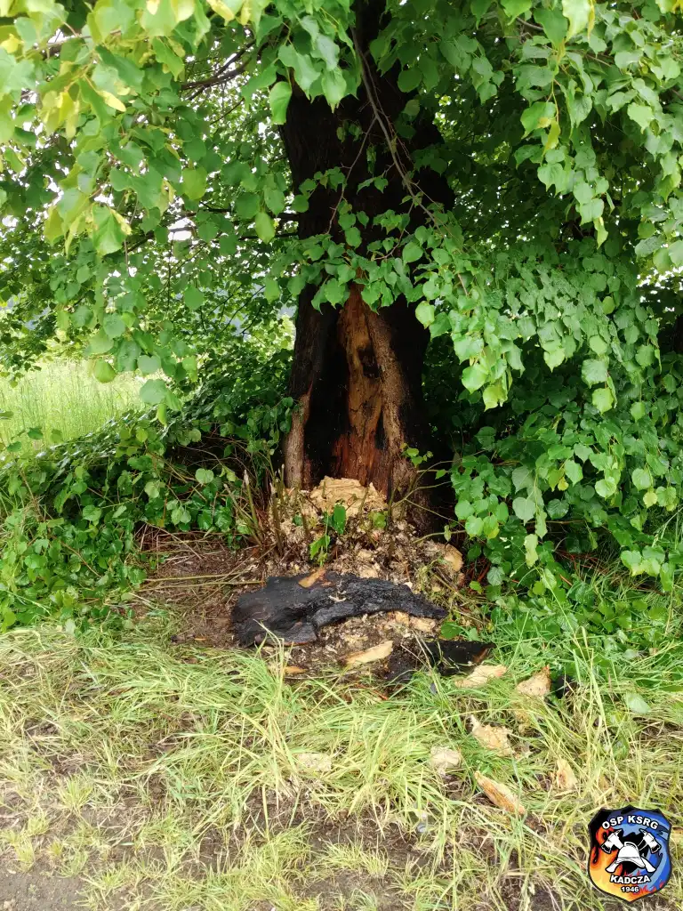 Akcja ratunkowa w Kadczy. Płonące drzewo i kierowca z dusznościami