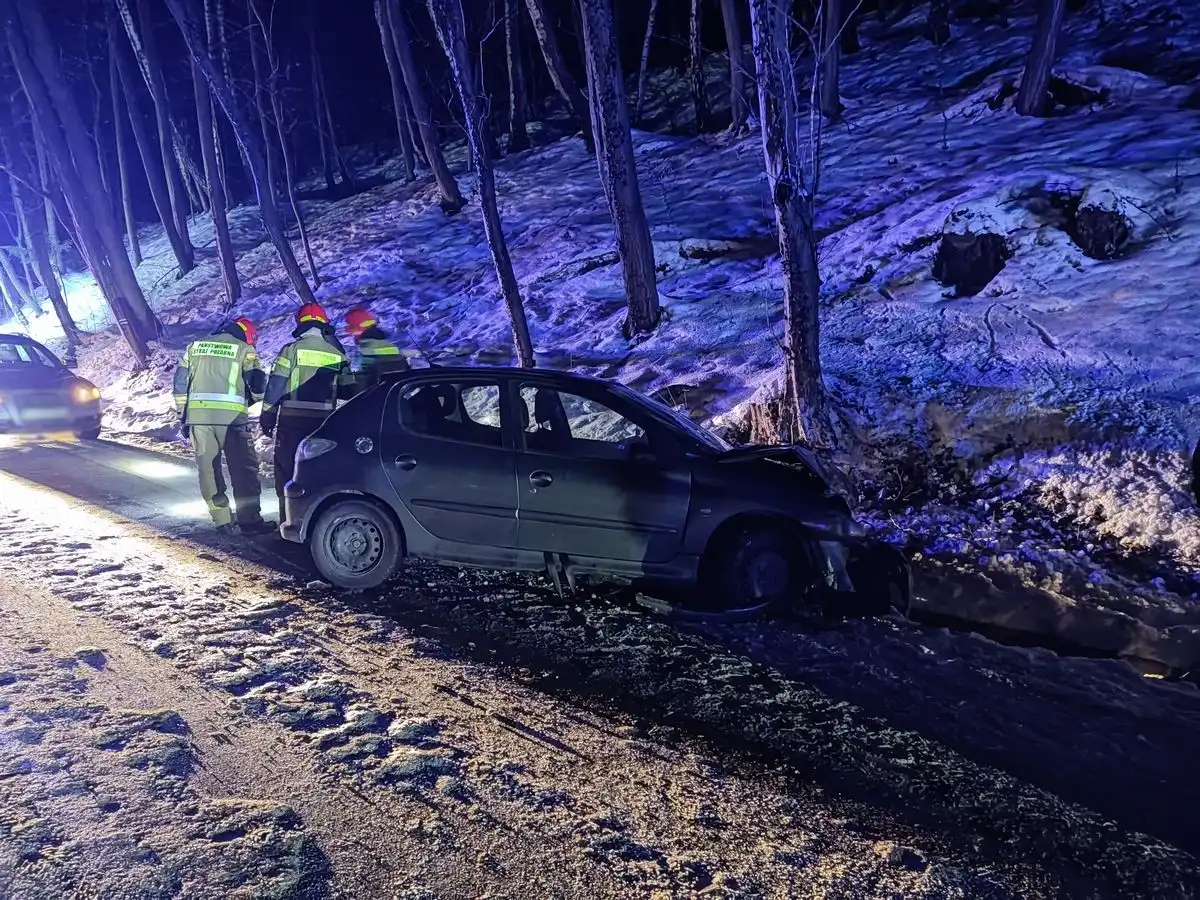 Wypadek w Jelnej. Pojazd osobowy wypadł z drogi. 2 osoby poszkodowane