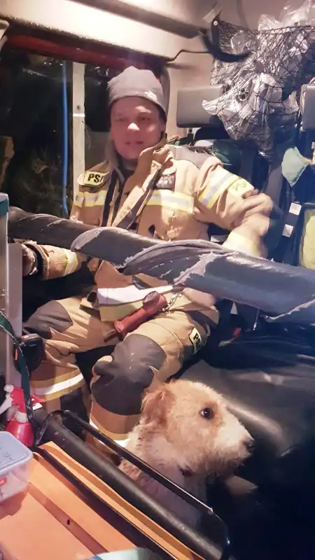 Świniarsko: Strażacy ratowali zwierzę uwięzione w rowie melioracyjnym
