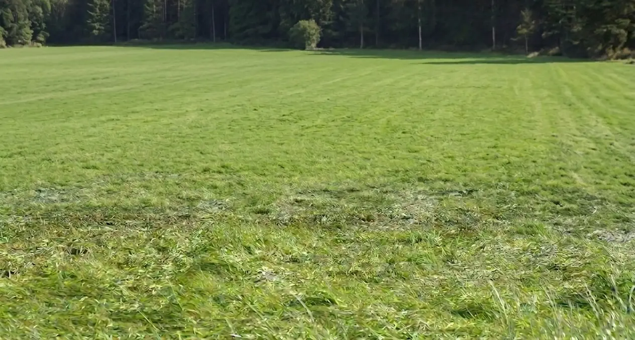 Co dalej z terenami na Nawojowskiej? Mieszkańcy mają pomysł, jak je zagospodarować