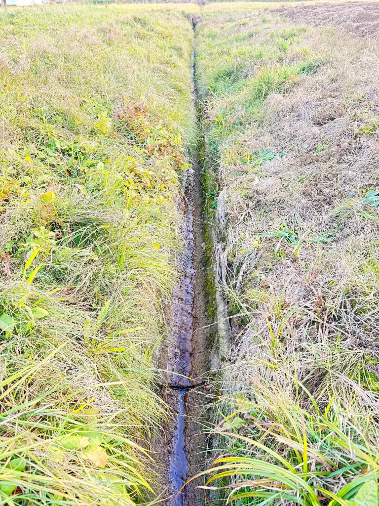 Czy Poręba Mała doczeka się regulacji potoków? Mieszkańcy apelują do Wód Polskich