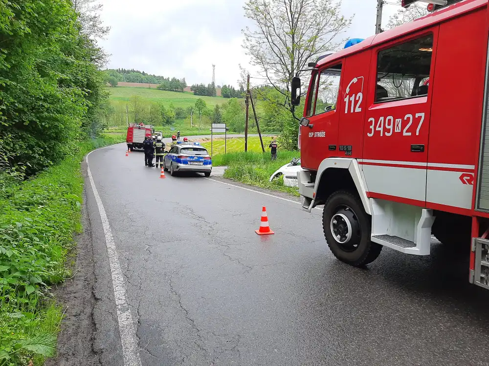 Wyskitna: Peugeot wypadł z drogi. Kierowca w szpitalu