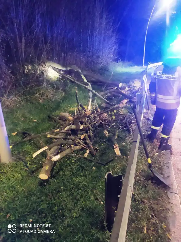 Niebezpieczne zdarzenie drogowe na ulicy Tarnowskiej w Nowym Sączu