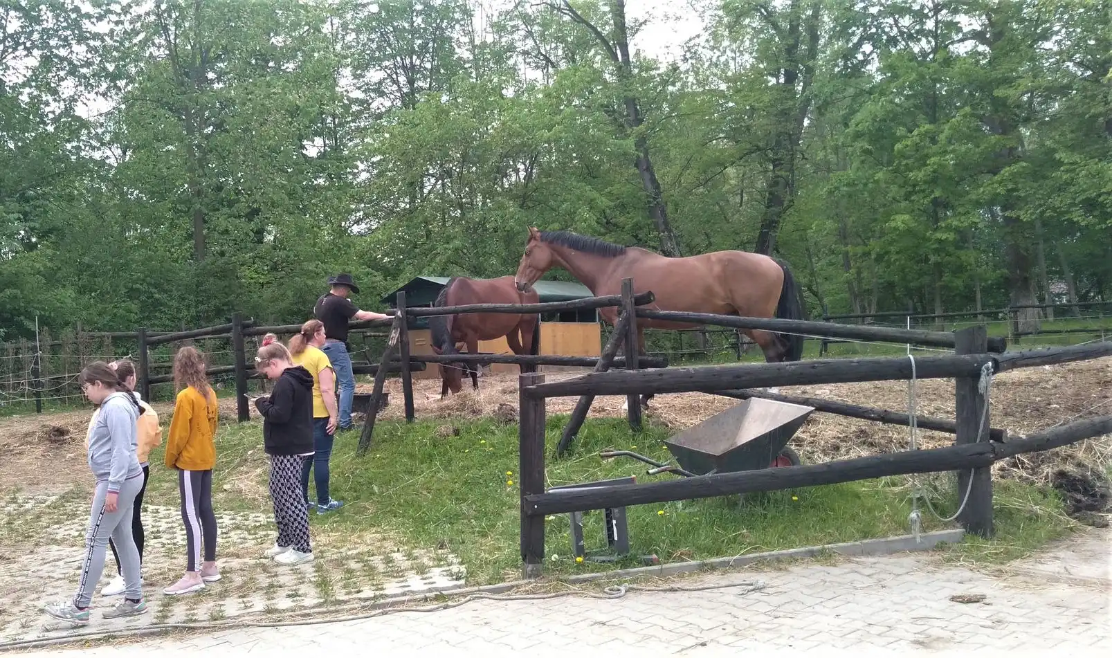 Dzień wśród koni: Uczniowie odwiedzili Powiatowy Zakład Aktywności Zawodowej