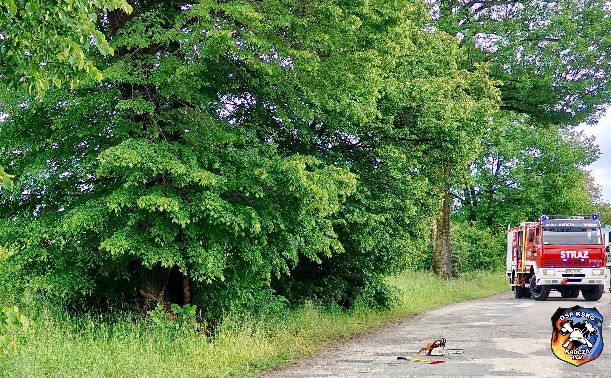 Akcja ratunkowa w Kadczy. Płonące drzewo i kierowca z dusznościami