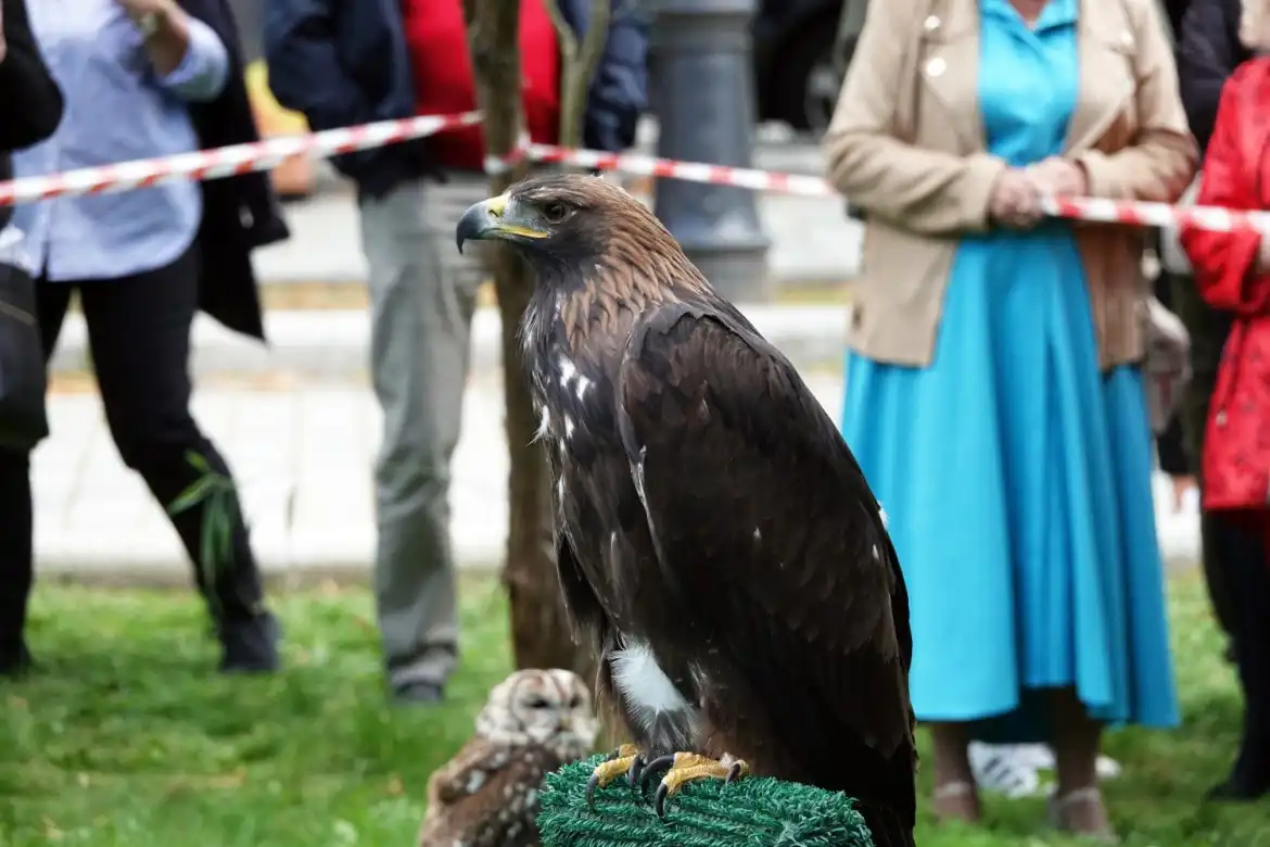Darz Bór w Krynicy. XIII Hubertus Krynicki za nami