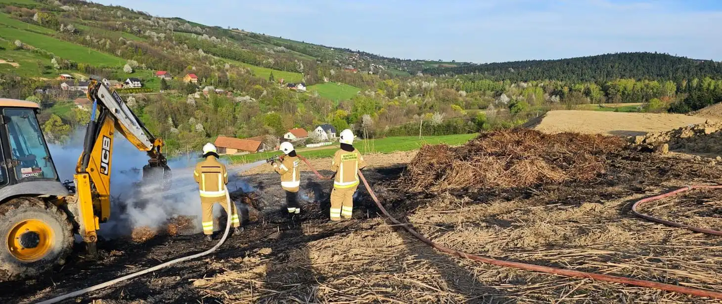 Pożar w Słowikowej. Paliła się trawa energetyczna
