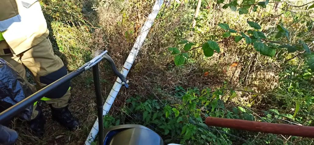 Węże na jednej z posesji w Krynicy-Zdroju. Interweniowali strażacy