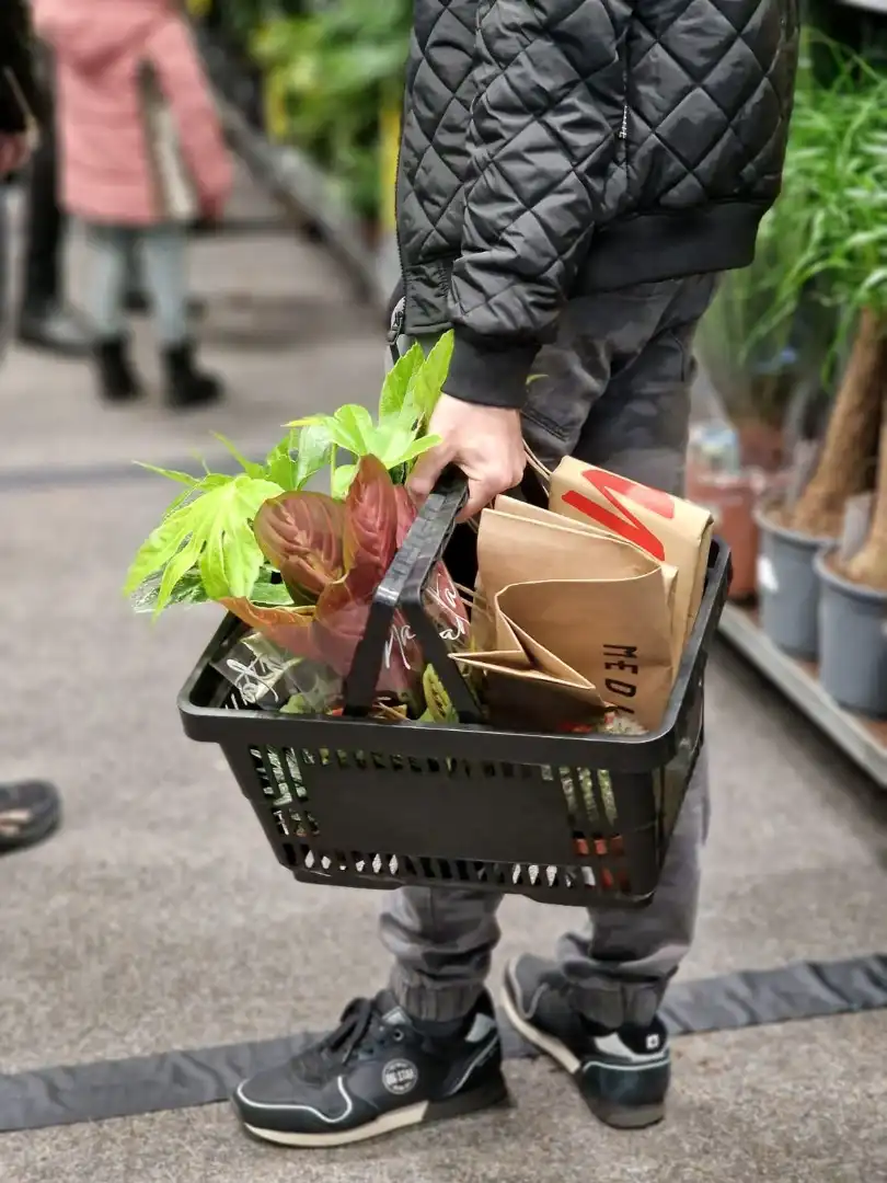 Kolejna edycja największego targu roślin doniczkowych w Krakowie!