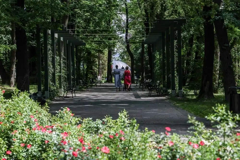 Lato idzie przez park