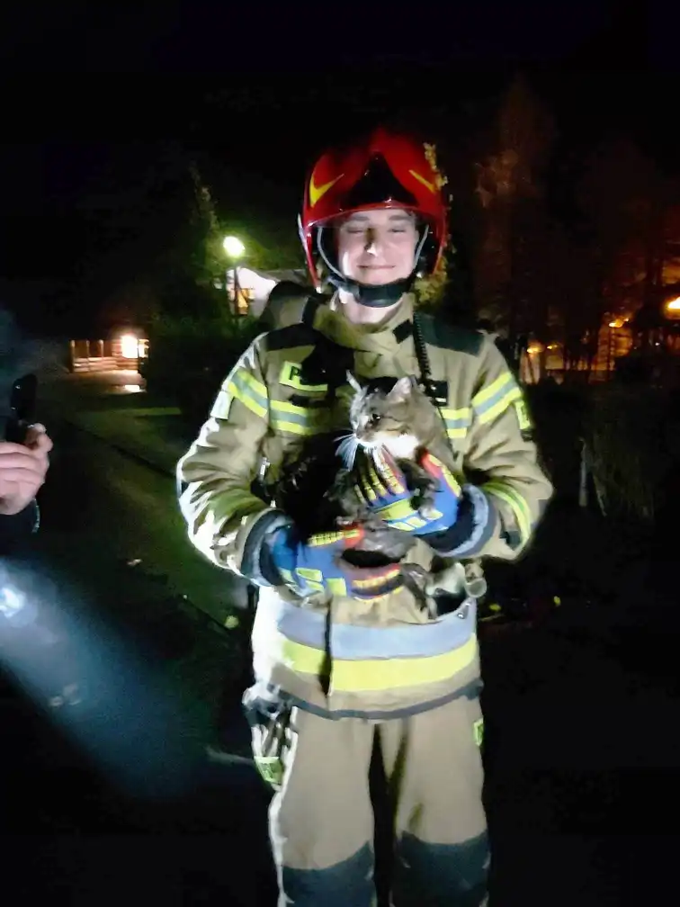 Krynica-Zdrój: kot utknął w rurze od studzienki kanalizacyjnej. Interweniowali strazacy