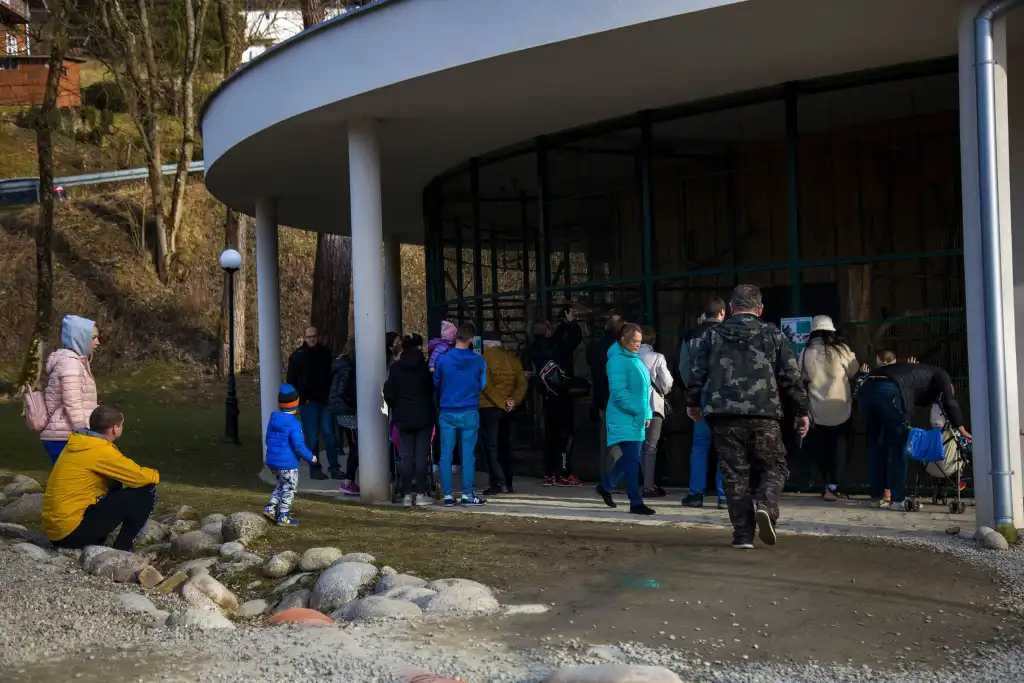 Krokusy i pierwszy dzień wiosny w muszyńskich ogrodach