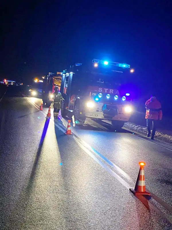 Ptaszkowa: Na DK28 zderzyły się cztery osobówki i dzik