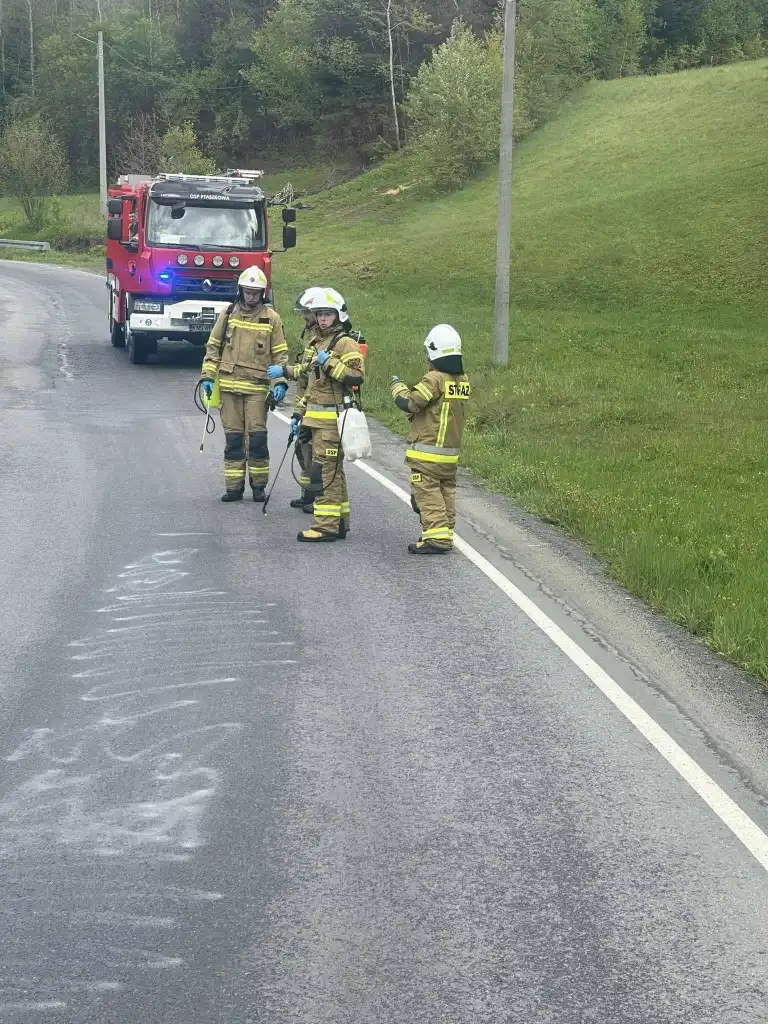 Kolizja na granicy Królowej Górnej i Ptaszkowej. Interweniowały trzy jednostki straży