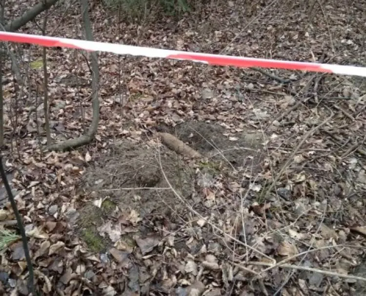 Nietypowe odkrycie w lesie